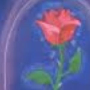 Meet your Posher, Suzette